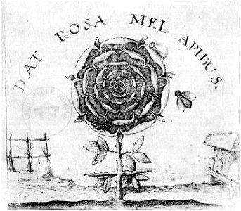 Fludd summum bonum