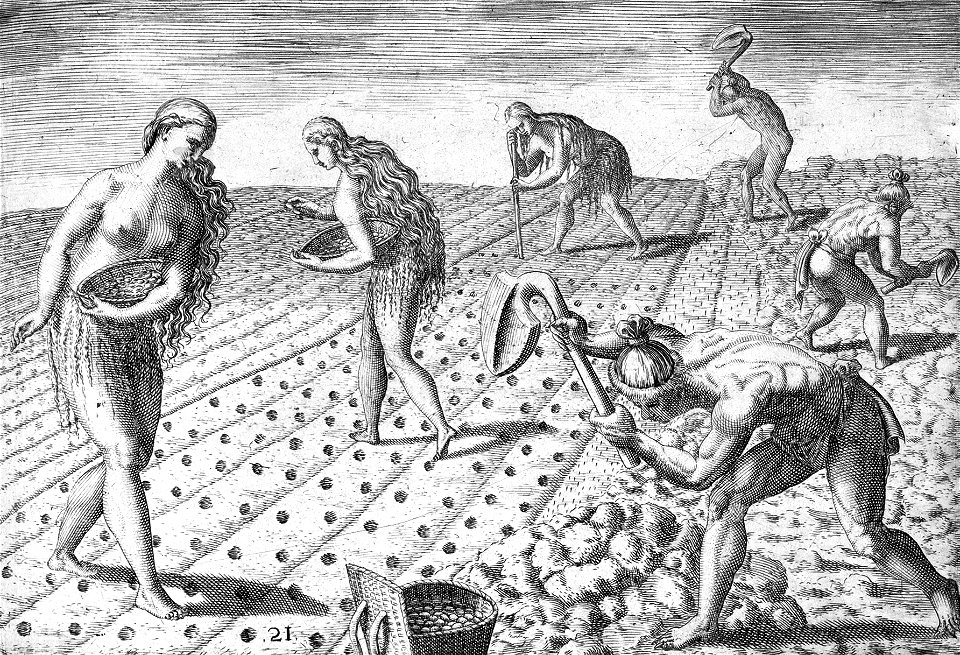 Florida Indians planting seeds of beans or maize LCCN2001695741