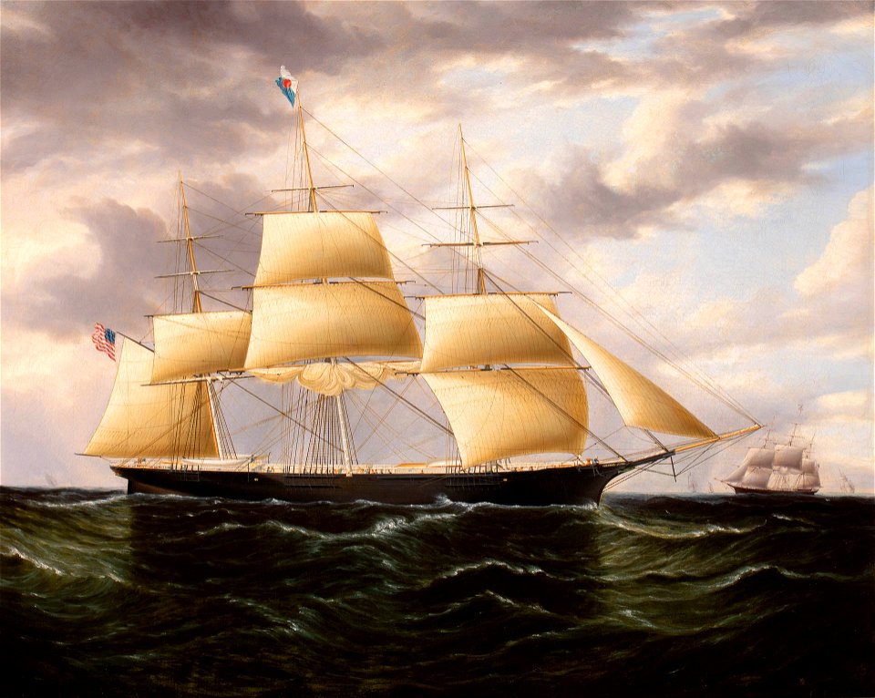 Flying fish - Clipper