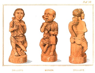 Flögel1862 13 Drillops Morion Drillops