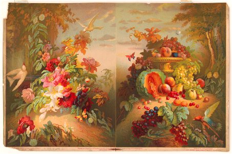Flowers & fruits (written in pencil on verso) LCCN2004670579