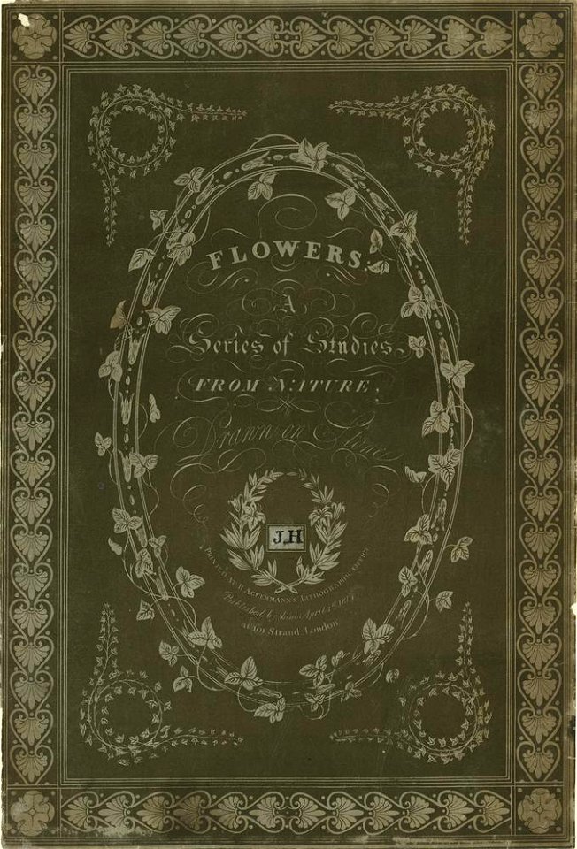 Flowers- A Series of Studies from Nature Drawn on Stone (BM 1899,0713.208.1.+)