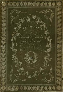 Flowers- A Series of Studies from Nature Drawn on Stone (BM 1899,0713.208.1.+)
