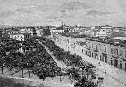 Foggia – Veduta generale della città (xilografia)
