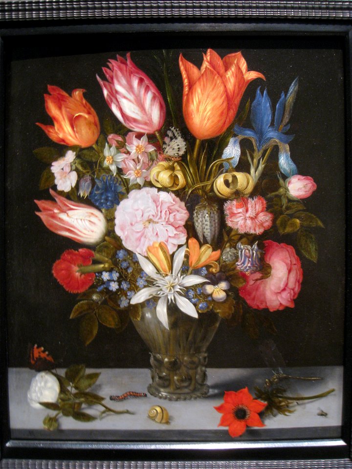 Flowers in a Glass by Ambrosius Bosschaert the Elder
