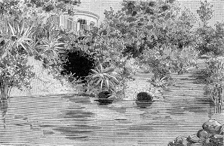 Foggia – Villa comunale, la cascatella (xilografia)