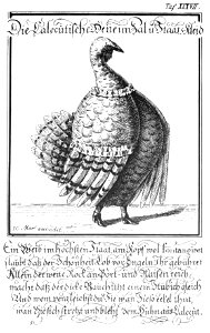 Flögel1862 37 Henne