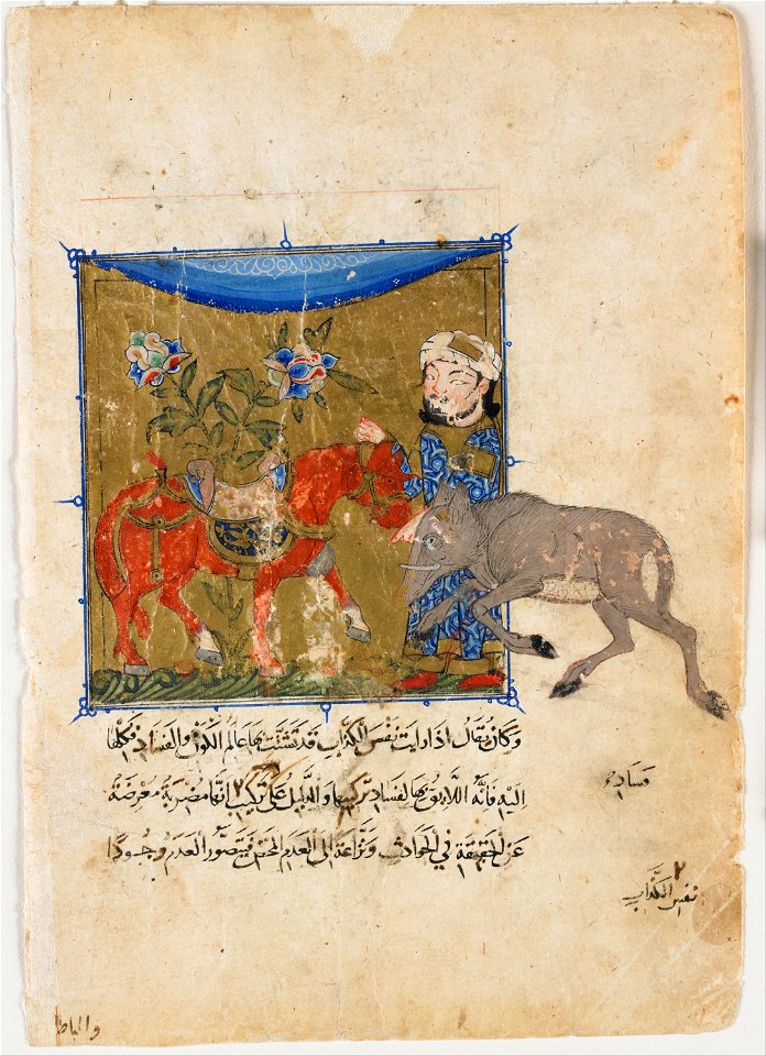 Folio from a Sulwan al-Muta by Ibn Zafar; verso- the Boar and the Horse - Google Art Project