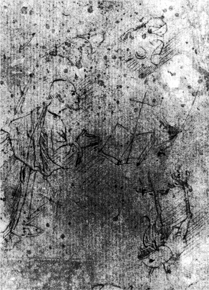 Follower of Jheronimus Bosch 050