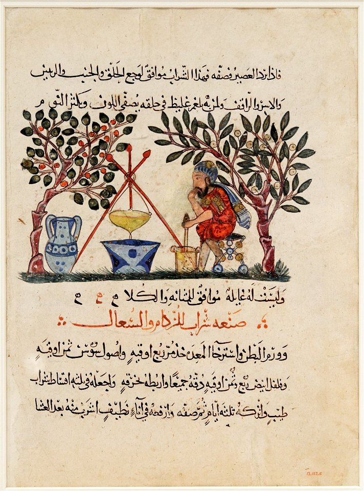 Folio Materia Medica Dioscurides Met 13.152.6