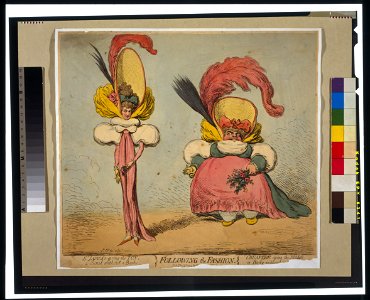 Following the fashion - Js. Gy. desn. et fect. LCCN99401787