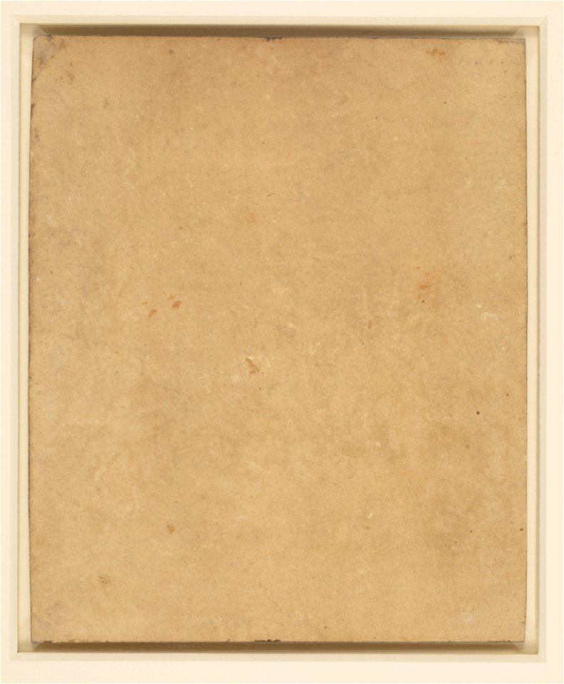 Follower of Leonardo da Vinci - RCIN 912501, v, The head of an old man with long hair c.1520
