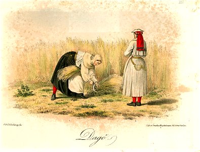 Folkdräkt, Dagö, Estland - Nordiska Museet - NMA.0034143