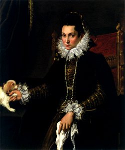 Lady with a Lapdog (Lavinia Fontana)