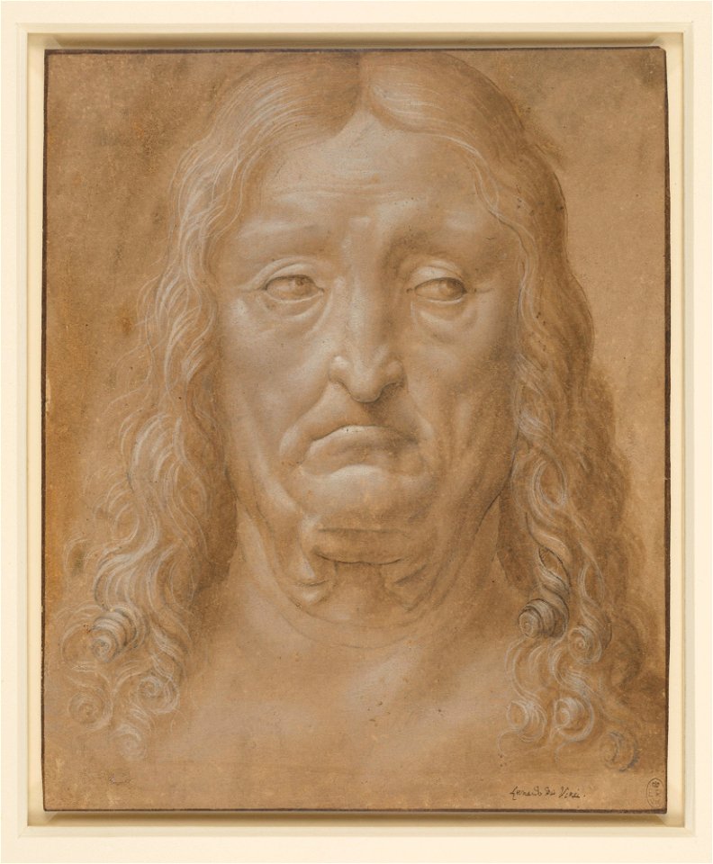 Follower of Leonardo da Vinci - RCIN 912501, The head of an old man with long hair c.1520