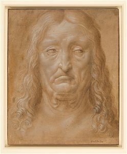 Follower of Leonardo da Vinci - RCIN 912501, The head of an old man with long hair c.1520