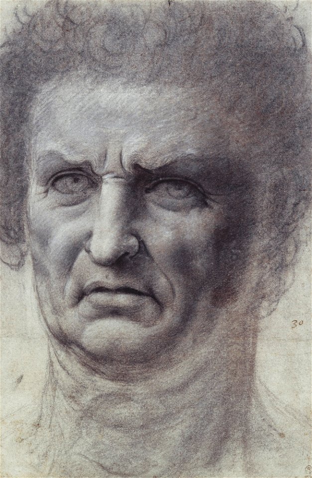 Follower of Leonardo da Vinci - RCIN 912504, The head of a man c.1520