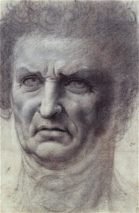 Follower of Leonardo da Vinci - RCIN 912504, The head of a man c.1520