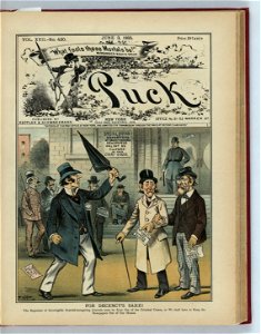 For decency's sake! - F. Opper. LCCN2011661751