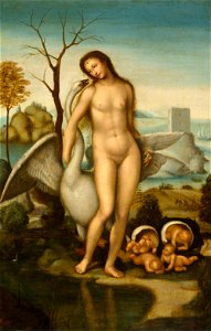 Follower of Sodoma - Leda and the Swan, c. 1512-17, K426. Free illustration for personal and commercial use.
