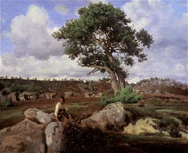 Fontainebleau, 'The Raging One'