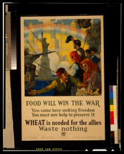 Food will win the war - You came here seeking freedom, now you must help to preserve it - Wheat is needed for the allies - waste nothing - C. E. Chambers. LCCN2002720171