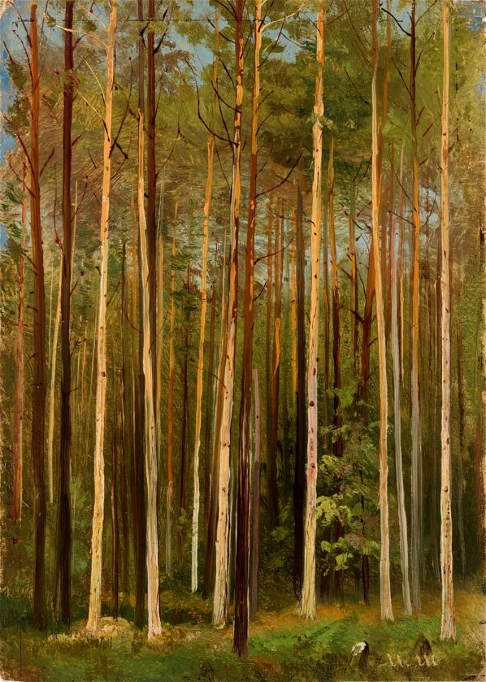 Forest (Shishkin)