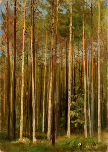 Forest (Shishkin)