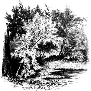 Forest Hymn pg 35b