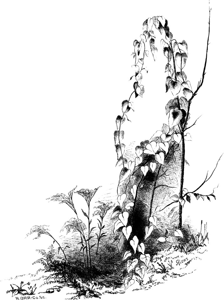 Forest Hymn pg 51b