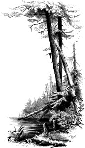 Forest Hymn pg 67b