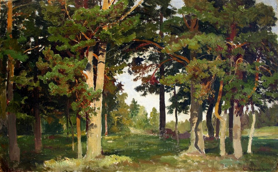 Forest. Study (Shishkin)
