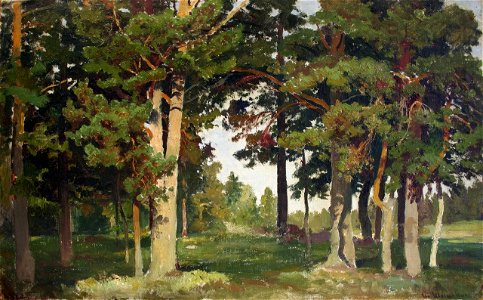 Forest. Study (Shishkin)