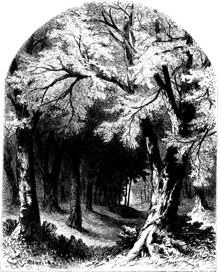 Forest Hymn pg 31
