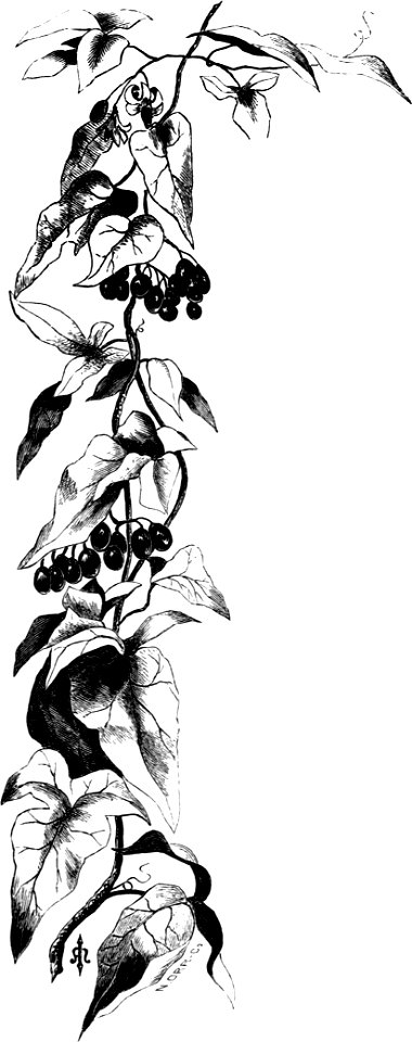 Forest Hymn pg 63b