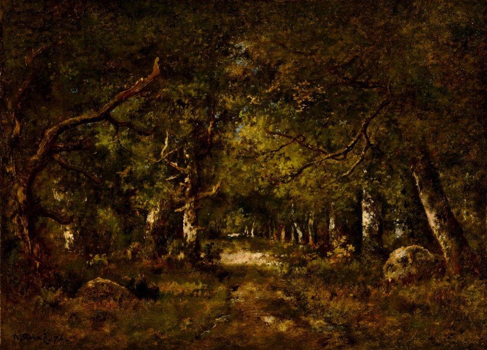 Forest Scene C10439
