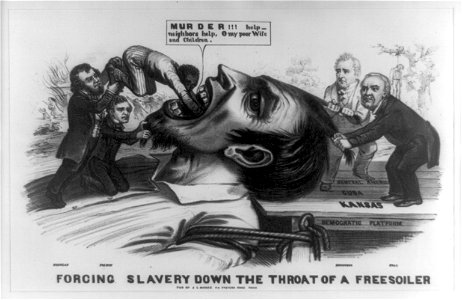 Forcing slavery down the throat of a freesoiler LCCN2008661578