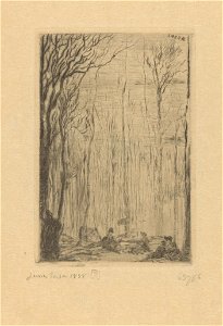 Forest at Groenendael, print by James Ensor, 1888, Prints Department, Royal Library of Belgium, S. II 63756