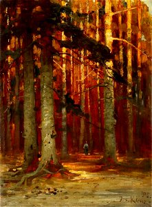 Foresta in Autunno