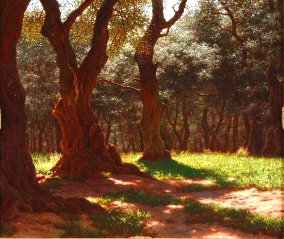 Foret D'Oliviers a Cap St. Martin Ivan Choultse