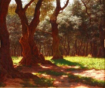 Foret D'Oliviers a Cap St. Martin Ivan Choultse