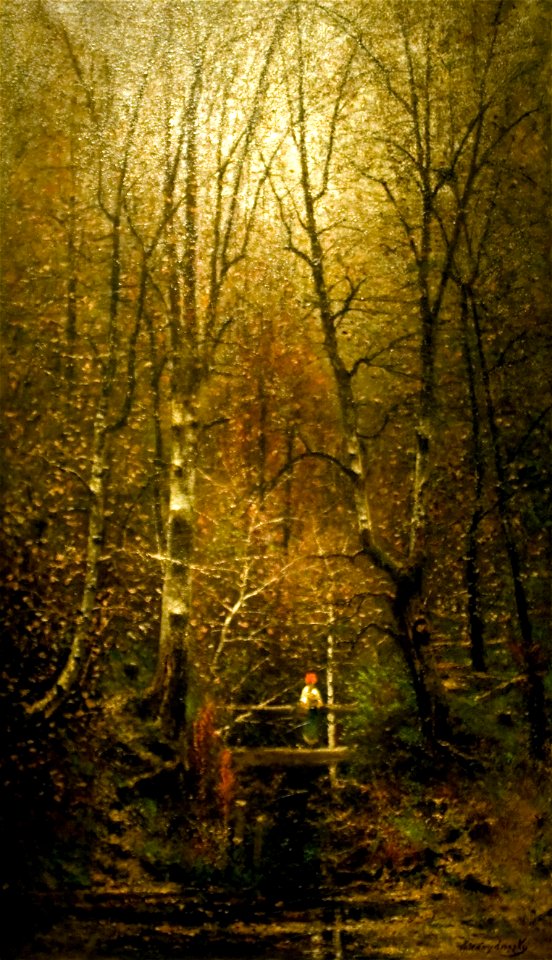 Forest Creek with a Bridge