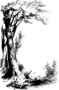 Forest Hymn pg 17
