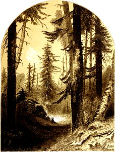 Forest Hymn pg 25