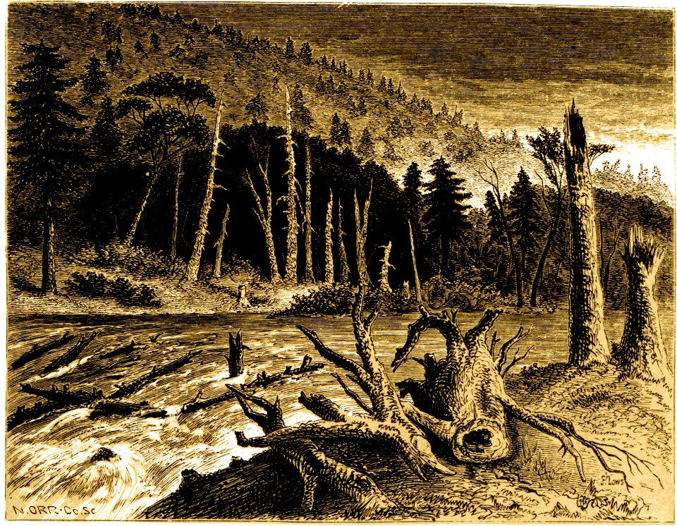 Forest Hymn pg 65