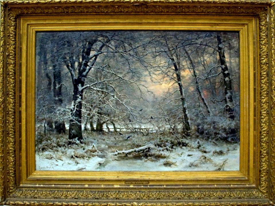 Forest in Winter