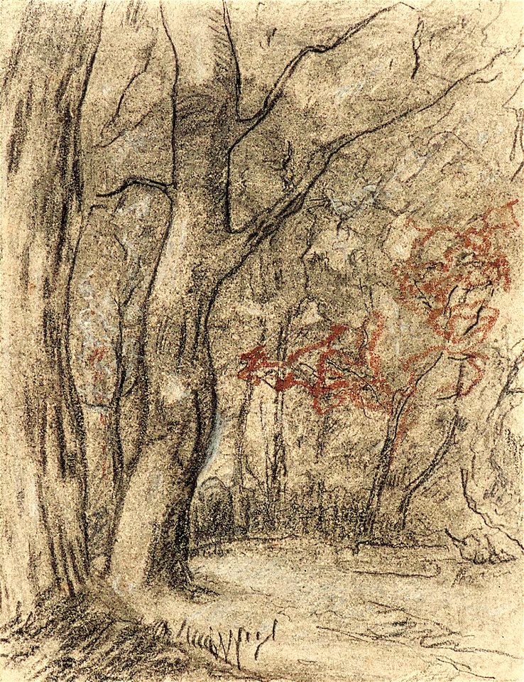 Forest Path by Theo van Doesburg Centraal Museum AB4299