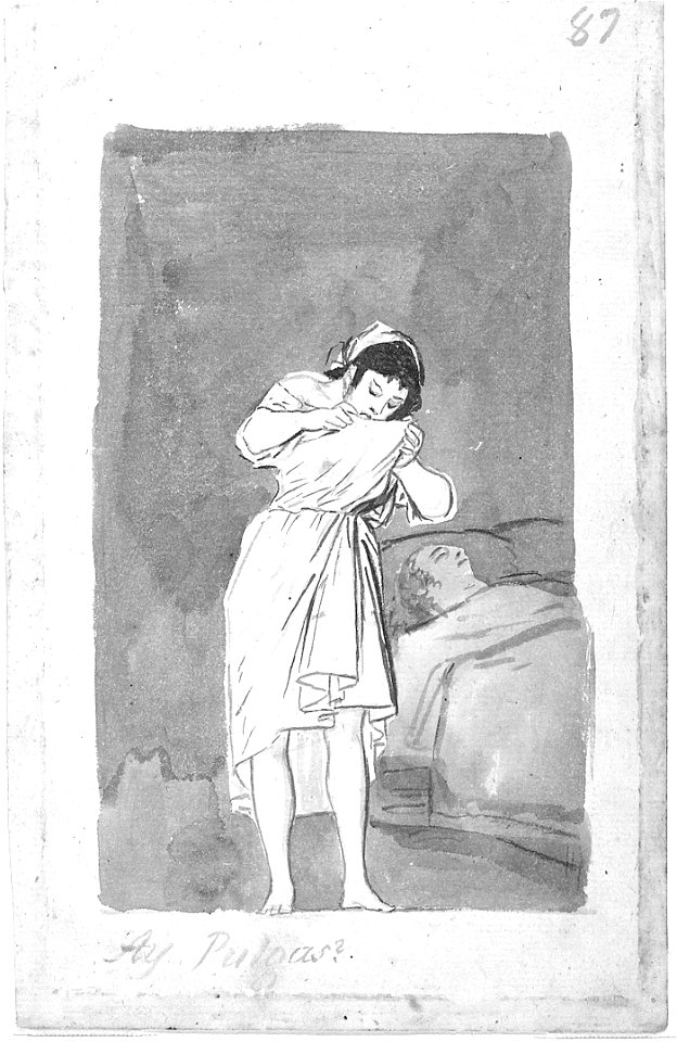 Goya - ¿Hay pulgas, The Hispanic Society of America, Ca. 1794 - 1797