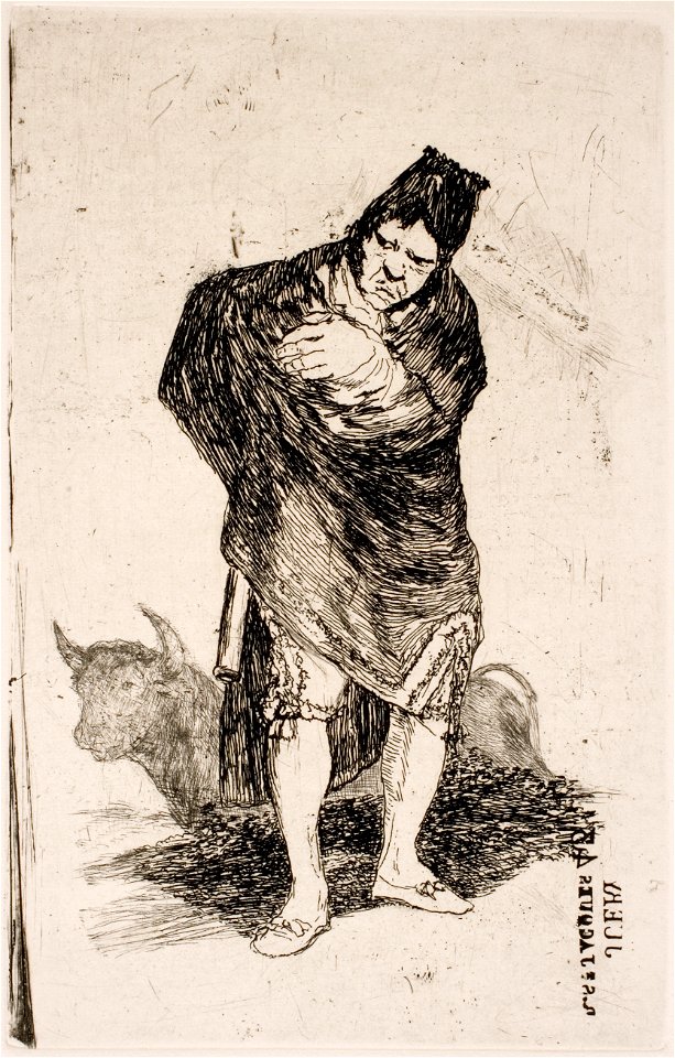 Goya Andalusian smuggler