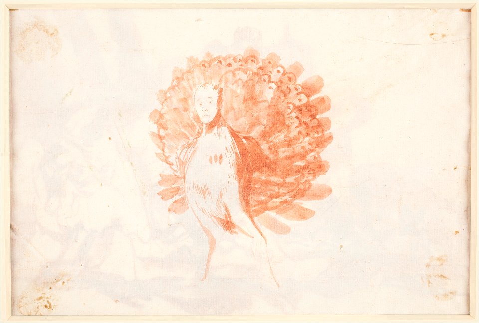 Goya El pavo real vanidoso drawing